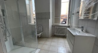 “Viganello: Appartamento 1,5 locali”