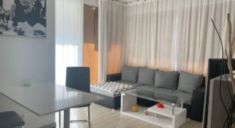 Affittasi 2.5 locali a Paradiso